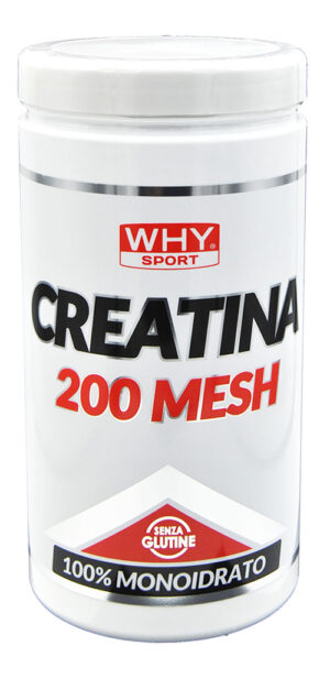 Why Sport Creatina 200 Mesh 500 g.