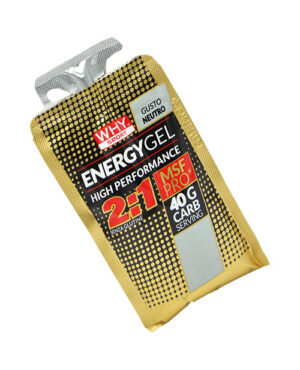 Why Sport Energy Gel 2:1 Gusto Neutro 55 ml.