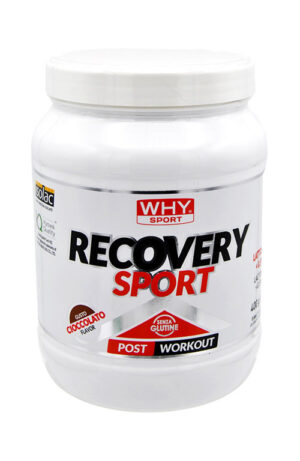Why Sport Recovery Sport Gusto Cioccolato 400 g.